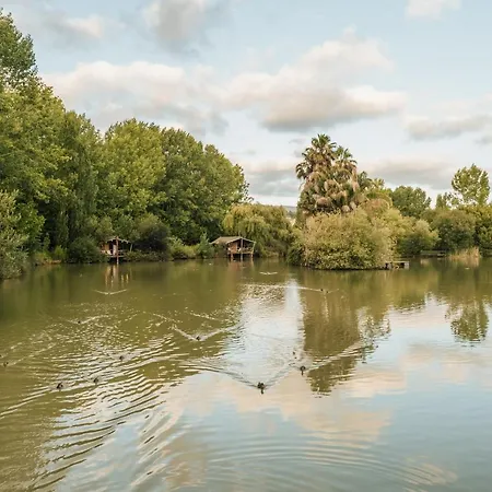 Lüks kamp alanı Parque Dos Monges Alcobaça