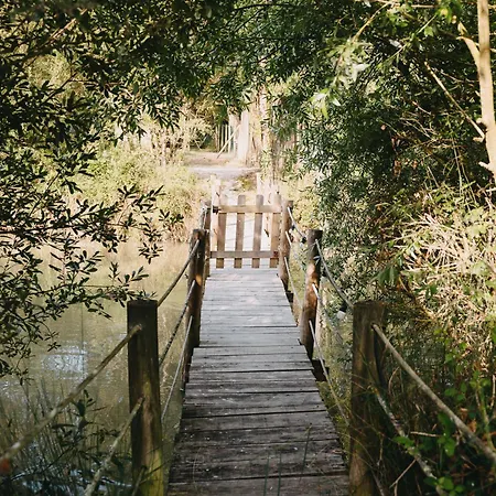 Parque Dos Monges 豪华帐篷