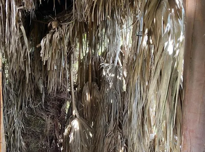 Campismo de Luxo Parque Dos Monges Alcobaça